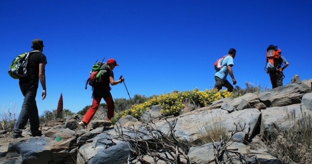 Visita guidata del Parco Nazionale del Teide 