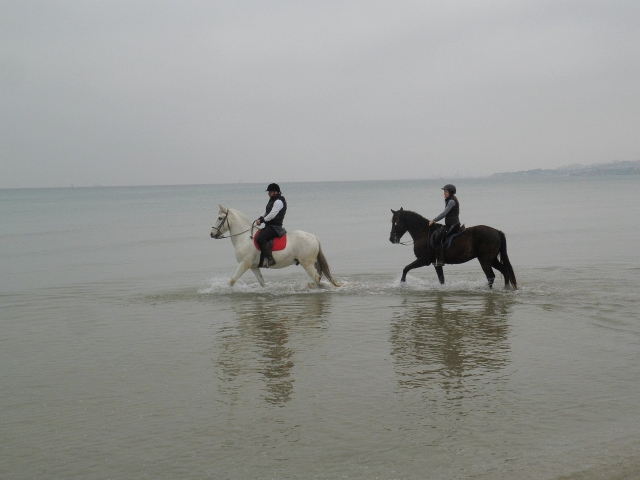 Zu Pferd im Wasser 