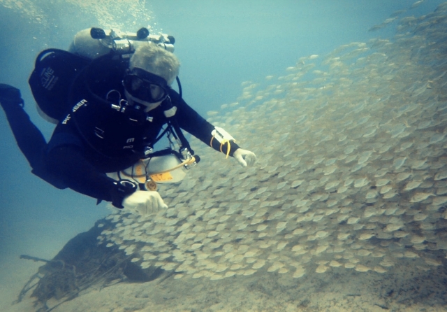 Buceando entre bancos de peces Lanzarote