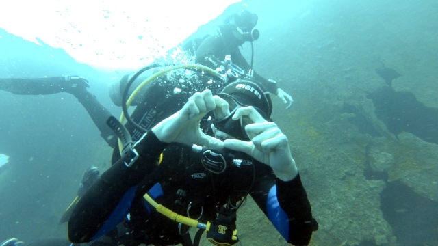 Inmersión de buceo con título en Lanzarote