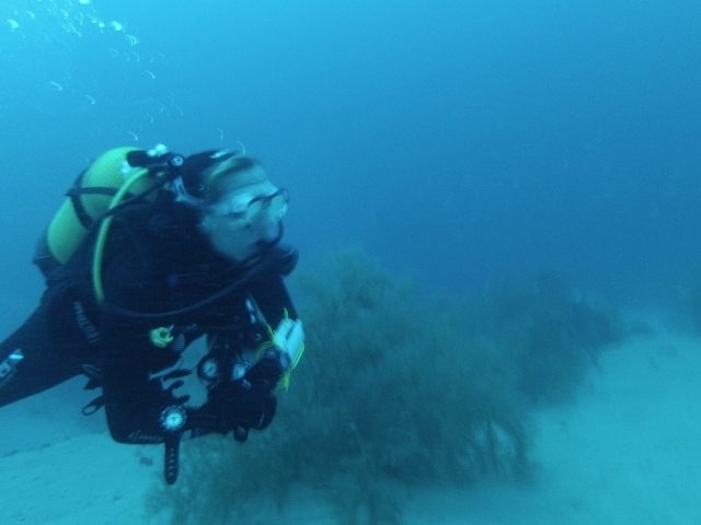 Practica submarinismo en Playa Blanca