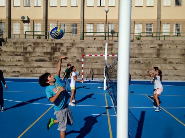  Vôlei grande