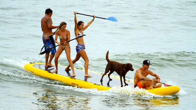  Big SUP board 