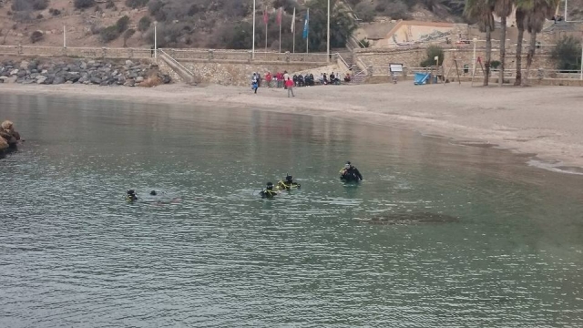  immersioni dalla riva 