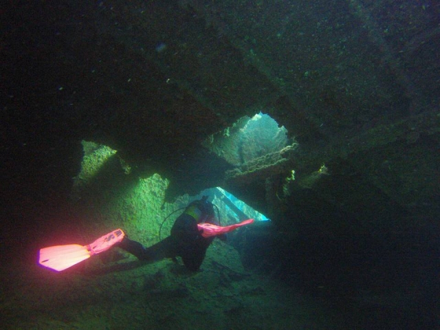  immersioni in barca 