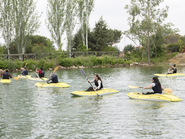  Kayak 