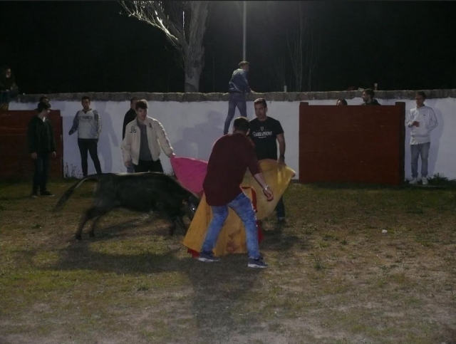 Toreando de noche a la vaquilla
