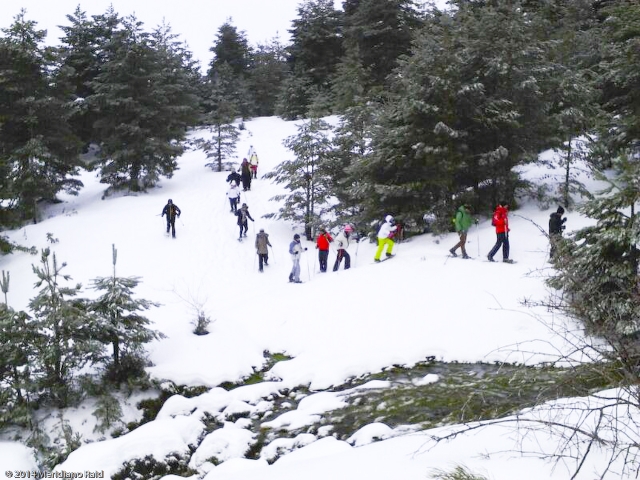  团体雪鞋行走 
