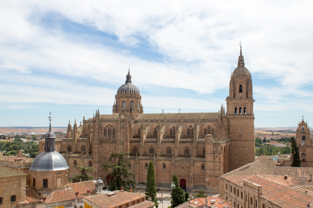 Visitas guiadas en Salamanca