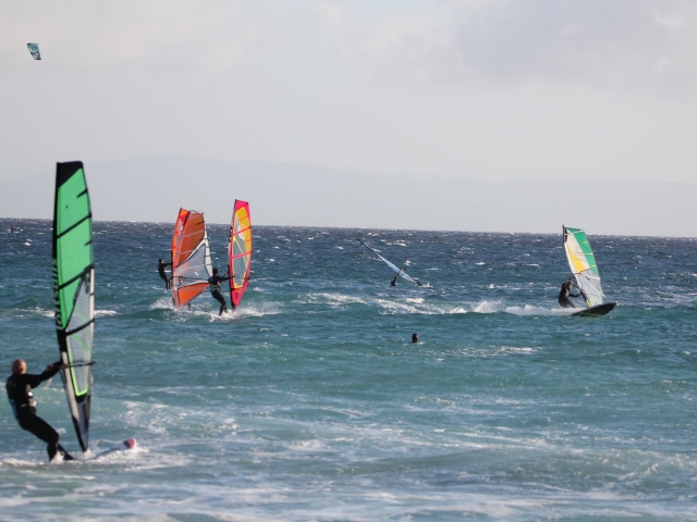  windsurf
