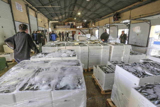  At the fish market 