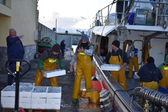  Learn how fishermen work 