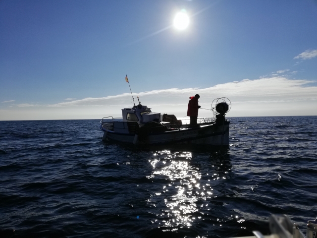 Barco pescando en Torrevieja