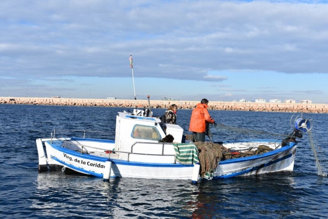 Visita a los cerqueros