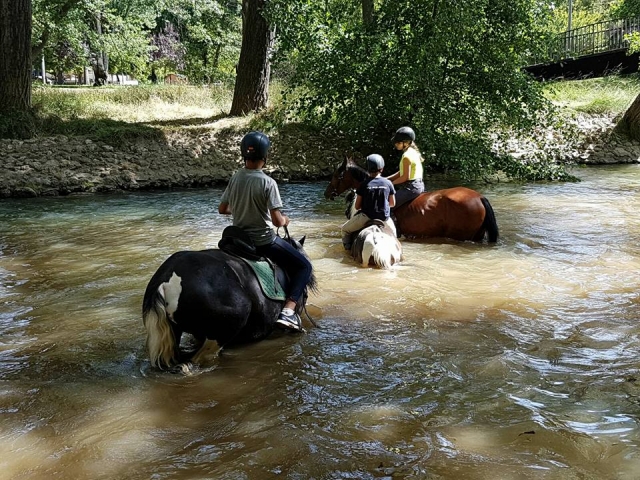  Cavalli che attraversano l'acqua 