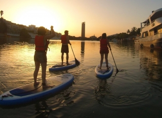 Paddle surf route in the Guadalquivir 2 hours
