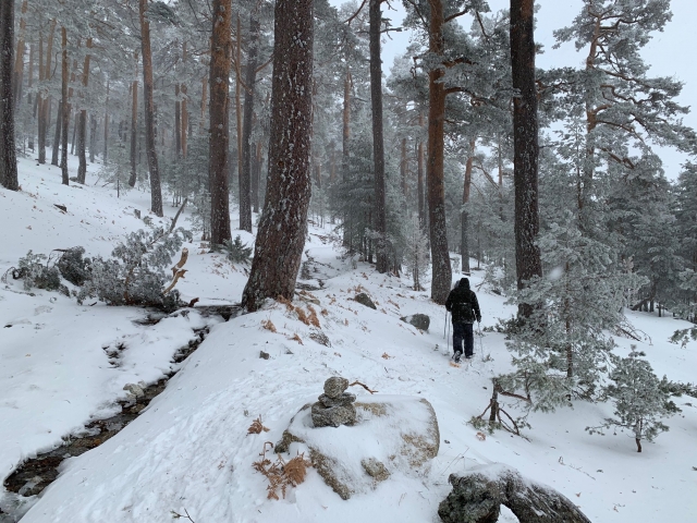 Raquetas de nieve en la Sierra de Madrid