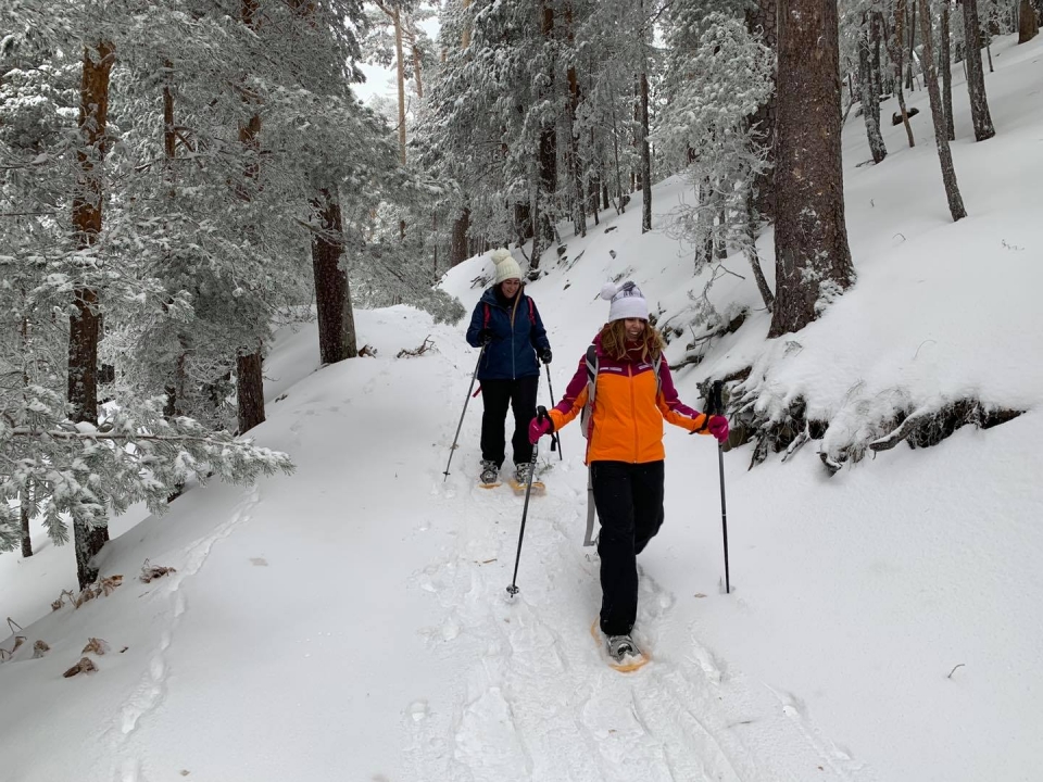 Raquetas sobre el manto blanco