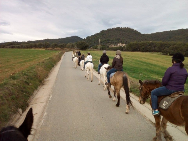  Itinéraire à cheval à travers le Montseny 