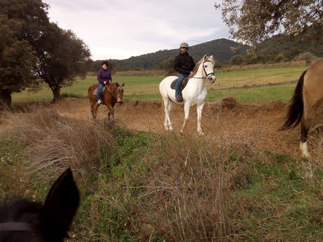  Excursion à cheval à Barcelone 