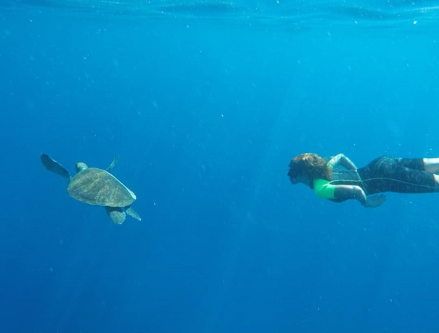  Snorkel durante a rota de paddle surf 