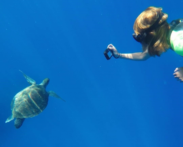  Fauna marinha de Tenerife 