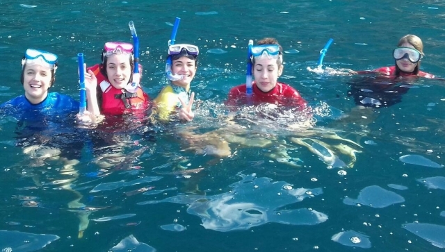 享受大海 