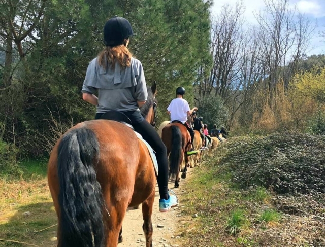 Paseo a caballo por el Montseny