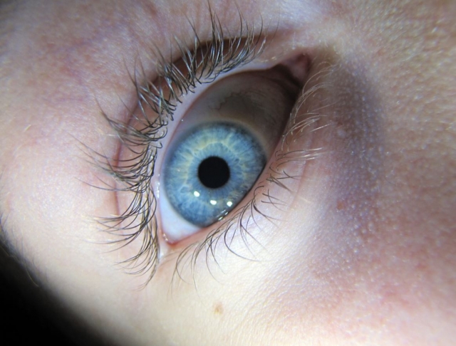  Oeil bleu