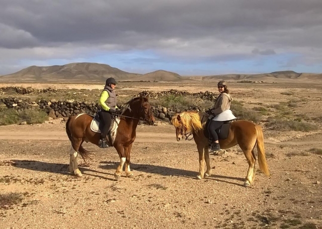  Pferde auf einem Pfad auf Fuerteventura 