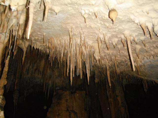  Estalactites na caverna Urdaibai 