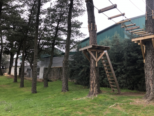 También contamos con un parque de aventuras