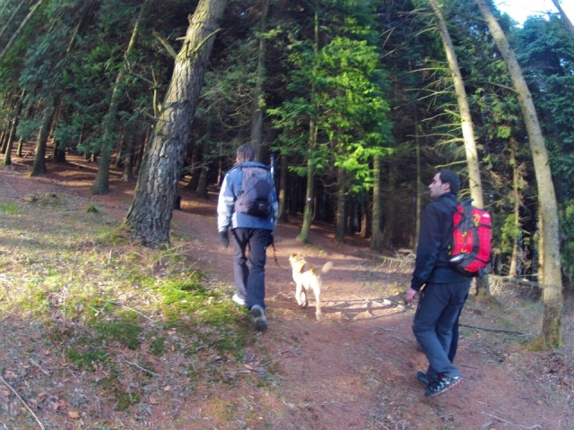Walking through the forests of Urdaibai 