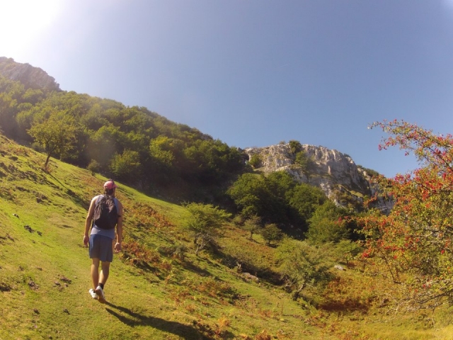  Meadows in the Urdaibai reserve 