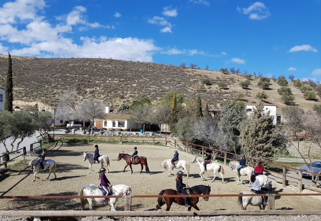  Reitcamp 