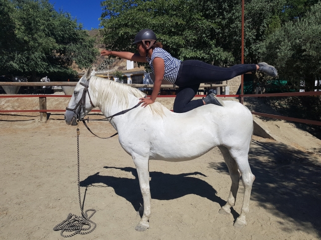  Reitpirouette 