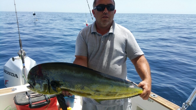  Pesca 