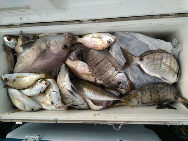  pesca a Huelva