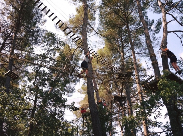  Nature adventure park 