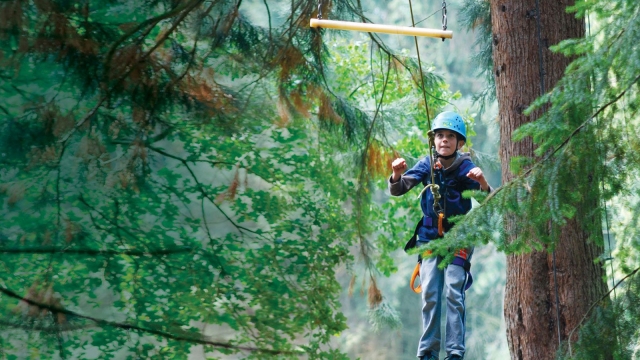  zip line