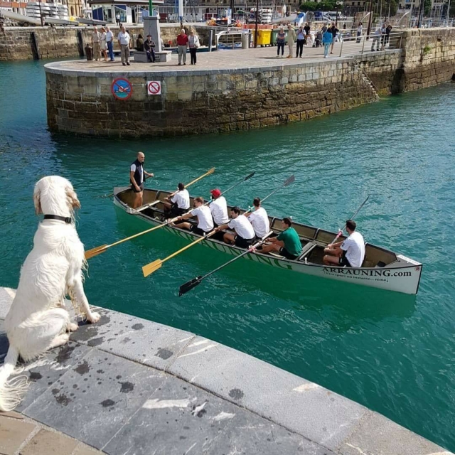 Remo team building