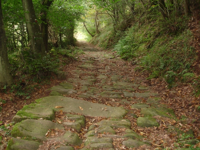  Camino 