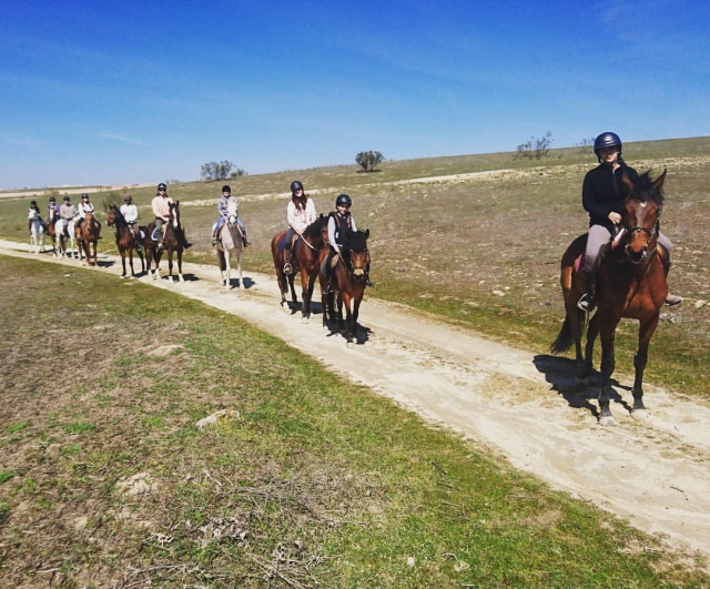 Ruta a caballo al sur de Madrid