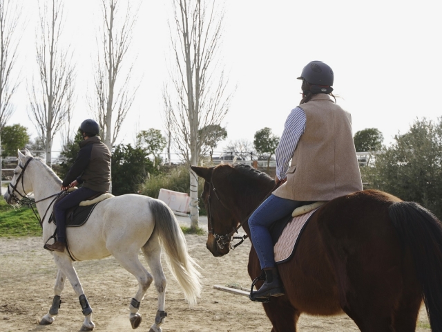  Learn to ride a horse 