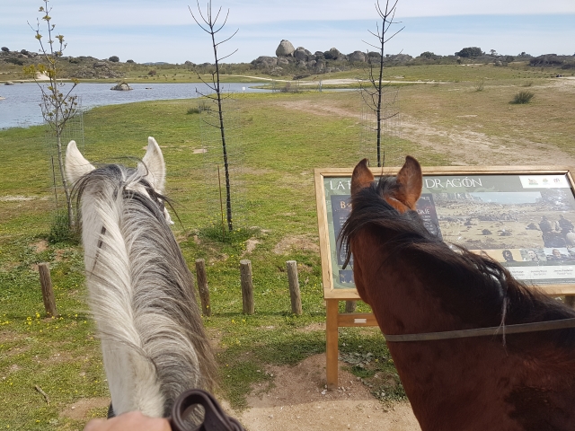 Sube a caballo en Los Barruecos