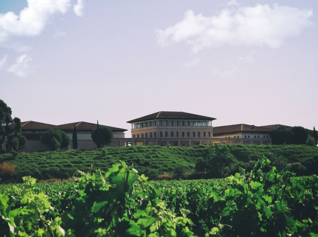 Viñedo y bodega