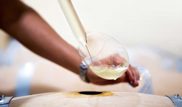 Prueba el vino