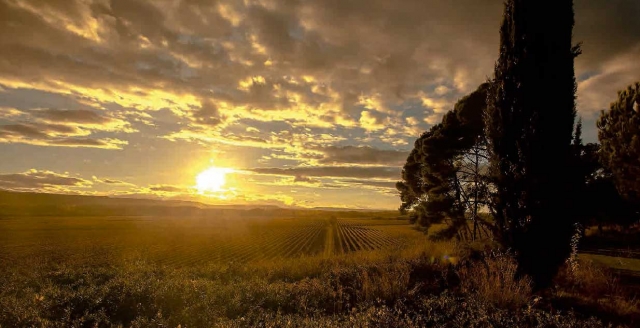 NAturaleza