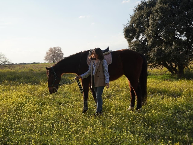 Nuestros caballos en El Pardo