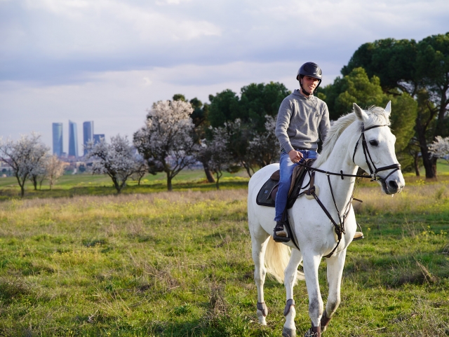 Paseo a caballo por el entorno madrileño